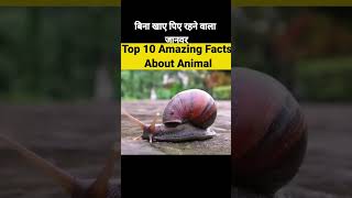 10 Unknown Facts About Animals That Will Make You Appreciate Them More|#short #shorts #fact #facts