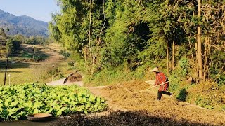 重温韩红经典老歌《家乡》，欣赏秋阳下的川渝农村！