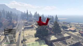 GTA: Penguins can fly