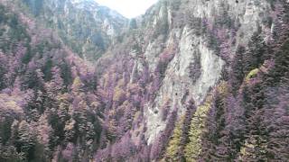 Busteni cable car to Cabana Babele (Carpathian Mountains)