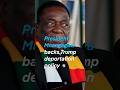 545 Zimbabwean nationals face deportation, according to US Immigration and Customs Enforcement