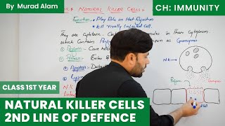 NK Cell (Natural Killer Cell) 2nd line of defence. Biology 1st year in Urdu/Hindi l Ch: Immunity