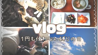 今日は絶対１円も使わないと引きこもる休日 ぼっち女子のVlog