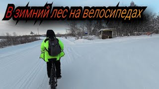 В зимний лес на велосипедах