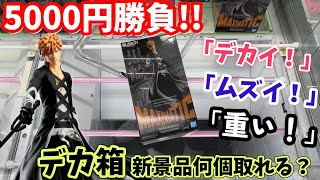 デカイ！重い！ムズイ！5000円でデカ箱新景品何個取れるのか？【デカ箱】橋渡し【クレーンゲーム】