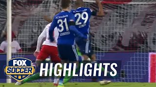RB Leipzig vs. FC Schalke 04 | 2016-17 Bundesliga Highlights