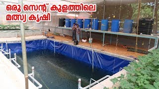 Aquaponics with a strong RAS system ഒരു സെൻറ് കുളത്തിലെ മത്സ്യ കൃഷി