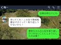 【line】社内結婚した私。3年後、海外赴任が決まった夫を後輩女が略奪「海外には私がついてくwババアは早く離婚して」→お望み通りに速攻で別れたらクズ二人が絶望することにwww