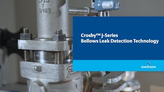Beyond Safety: The Crosby ™ Bellows Leak Detection Solution ensures Balanced Operation