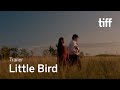 LITTLE BIRD Trailer | TIFF 2021