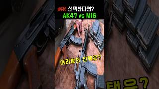 *당신의 선택은? AK47 vs M16 #밀덕