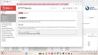 WebGoat - HTTP Basics Guide