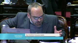 Diputado Iglesias Fernando Adolfo - Sesión 13-06-2018 - PL