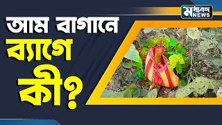 Murshidabad Bomb Recovery: সাত সকালে আম বাগানে লাইলনের ব্যাগে একি