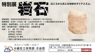 博物館特別展「岩石－石ころから見える地球のダイナミズム―」　CM3