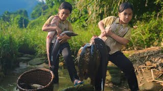 The orphan girl drained the puddle by the stream and caught a school of carp and catfish.