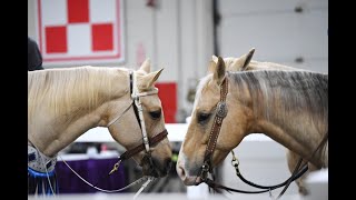 Equine Affaire 2022 Presented by EQUUS Television Network