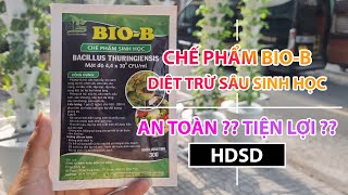 [DANH THỦY CANH] Hướng dẫn sử dụng Chế phẩm sinh học Bio-B phòng trừ sâu sinh học an toàn, hiệu quả!