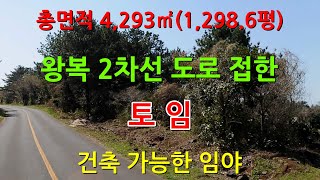 [1123][땅매매][토지매매] 왕복 2차선 도로가 접하고 있어 접근성이 좋고 도로가 접한 면이 아주 넓어 접근성이나 활용성이 좋은 땅입니다.