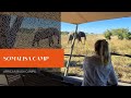 Somalisa Camp - African Bush Camps