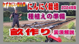 ニンニクの種植えのための畑準備～畝作り：2024年版にんにく栽培