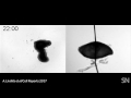 Mechanical scaffolding helps a hydra regenerate | Science News