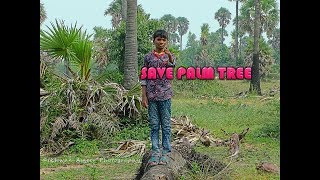 Save Palm Trees Documentary - பனை வளர்ப்போம்.. மண் காப்போம்..!