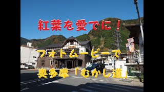 【紅葉】紅葉の「奥多摩・むかし道」