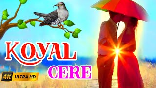 KOYAL CERE//STEPHAN TUDU//NEW SANTHALI VIDEO 2023//SUBHASTEN //ANNI//DULAR JHALI OFFICIAL//HD VIDEO