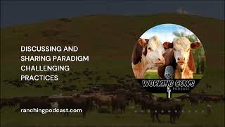 Ep. 165 - Anneliese Walker - An Ecosystems Approach to Direct Marketing | Working Cows