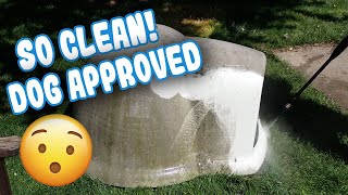 Satisfying Dog House Transformation Using Pressure Washer! Dogs Are Happy With Their Dogloo