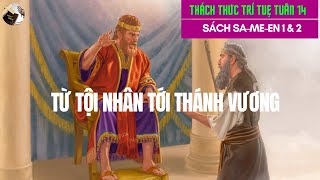 Đavít: Từ Tội Nhân Tới Thánh Vương: Kinh Thánh Công Giáo - Sách Samuen TTTT Tuần 14