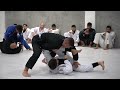 tainan dalpra treinando em alphaville behind the scenes jiu jitsu tv