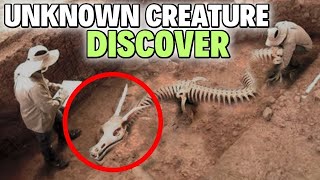 5 Most Amazing Discoveries Scientist Still Can't Explain