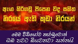 කුඩා අපාය දඬුවම් ගැන ඔබ මින් පෙර නොඇසූ දුර්ලභ වීඩියෝවක් | නිරයේ ඇති කුඩා නිරයන් | Dhaham Katha