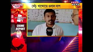 Fraud activities in Morigaon School, Principal involved