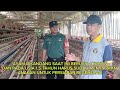 silaturahmi babinsa koramil 0818 28 karangploso ke peternak ayam telur didesa ampeldento karangploso