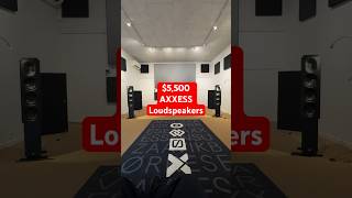 $5,500 AXXESS Loudspeakers From Denmark #poweramplifier #loudspeaker #audioequipment