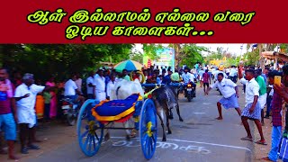 பெருங்குடி பூஞ்சிட்டு பிரிவு - 1 30/03/2022 திருமயம்