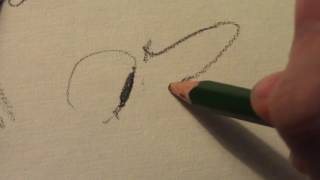 Doodle Music 2