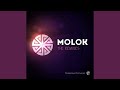 Psy Tribe (Molok rmx)