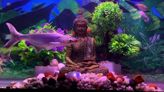 Aquarium fishes / with deep ocean meditation music / Gold fish & Koi fish