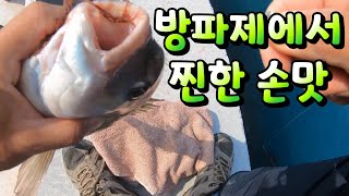 [통영로기] 185회 방파제에서 찐한 손맛.. (4짜 돔을 손으로) 감사합니다.