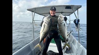 Spearfishing Boa Vista, Cabo Verde, Part 2, On the reef - Amberjack, Horse Eye Jack