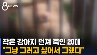 유기견 입양해 상습 학대한 20대…범행 동기 물었더니 '황당' / SBS 8뉴스