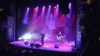 Protomartyr - Half Sister (live)