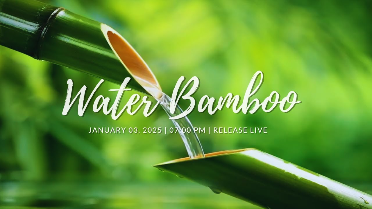 No Ads Relaxing Music For Sleeping Deep Sleep Music Relaxing Music