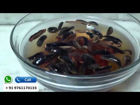 Amazing Benefits Of Leech Oil That All Men Should Know || leech oil advantages Amazing Benefits Of Leech Oil That All Men Should Know || leech oil advantages