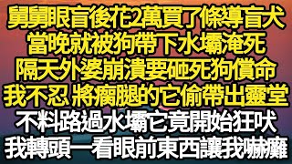 舅舅眼盲後花2萬買了條導盲犬，當晚就被狗帶下水壩淹死，隔天外婆崩潰要砸死狗償命，我不忍 將瘸腿的它偷帶出靈堂，不料路過水壩它竟開狂吠#故事#情感#情感故事#人生#人生經驗#人生故事#生活哲學#為人哲學