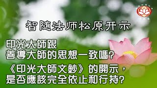 🌿 智隨法師問答:  為什麼老實念佛不換題目? 及《印光大師文鈔》的開示應否完全依止和行持 ?